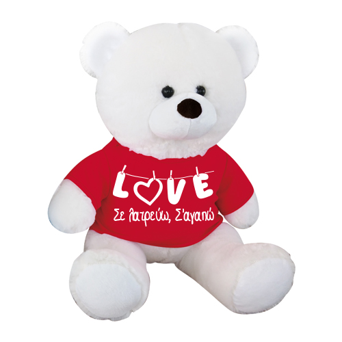 Αρκουδάκι με Μήνυμα Αγάπης στο Μπλουζάκι